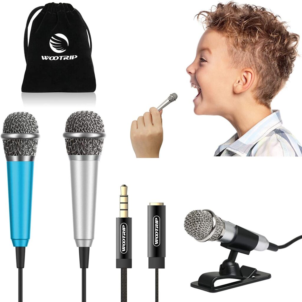 Mini microphone