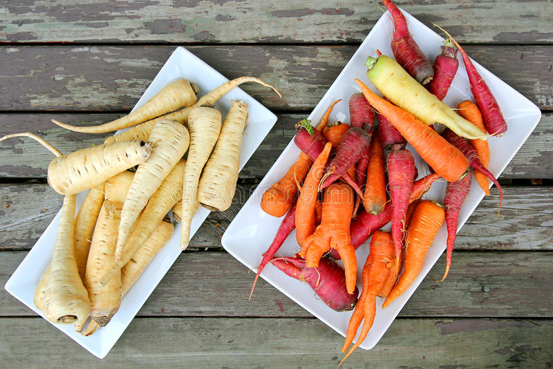 Colorful carrots