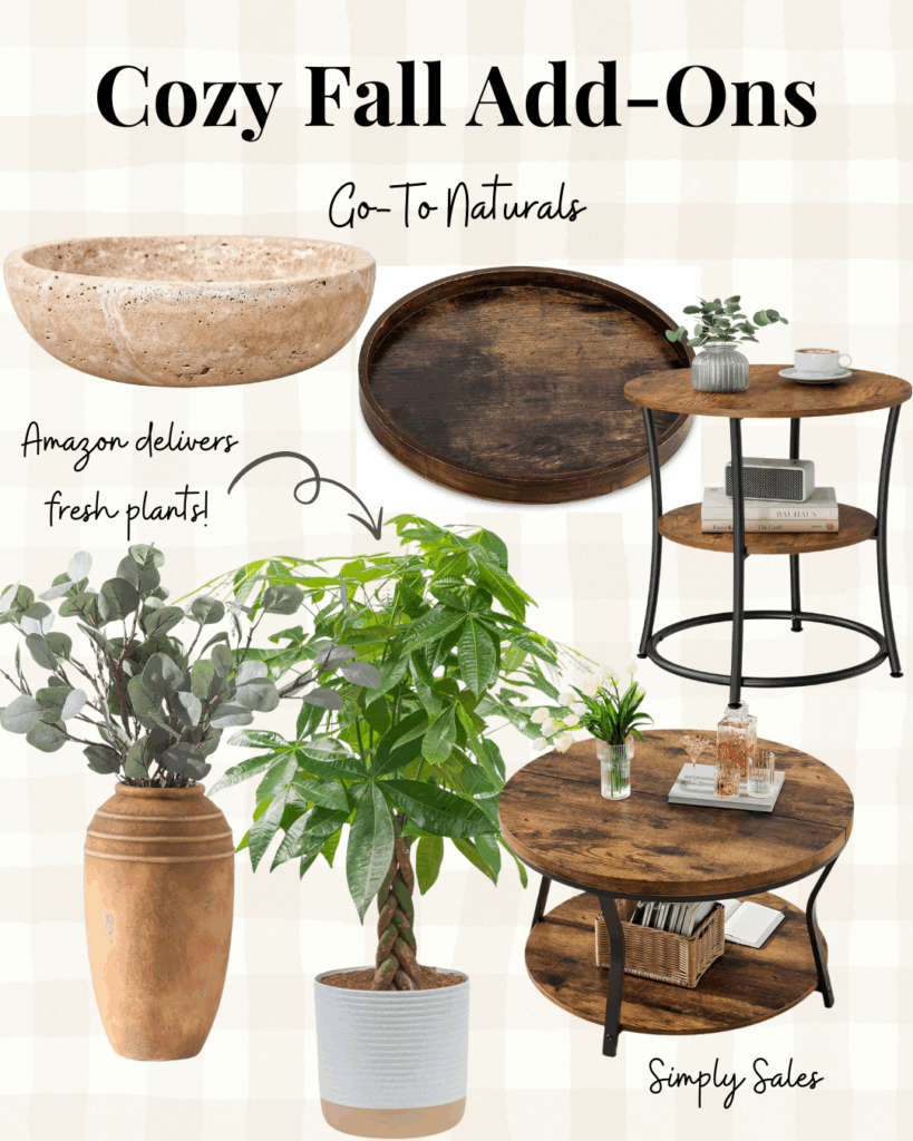 Stylish fall decor featuring decorative bowls, plants, and trendy tables to enhance cozy home aesthetics.