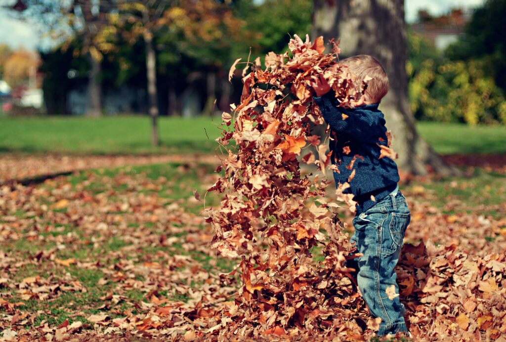 young boy in a pile of leaves during the fall season, throwing leaves in the air