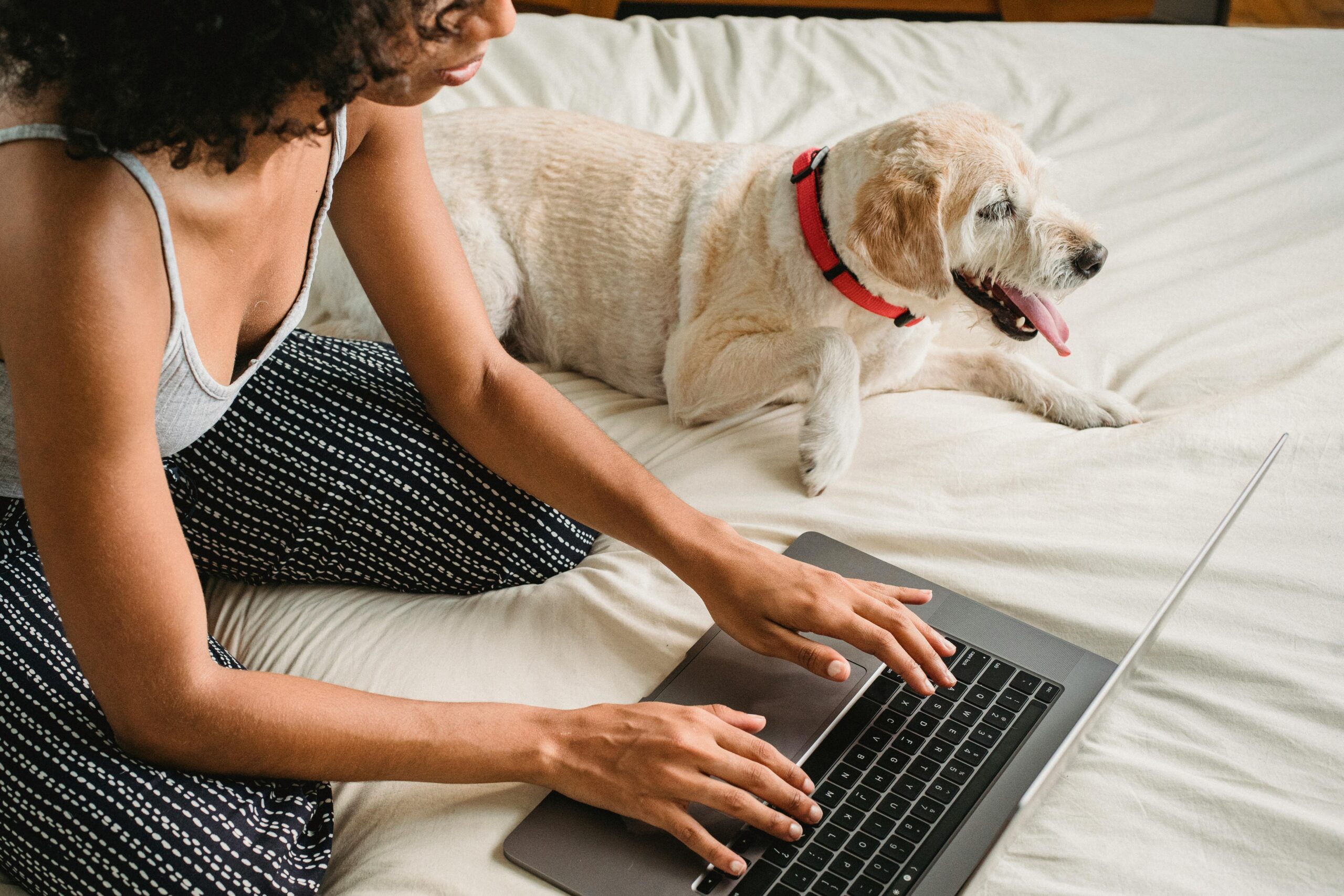 woman doing last-minute online shopping with her laptop and her dog.