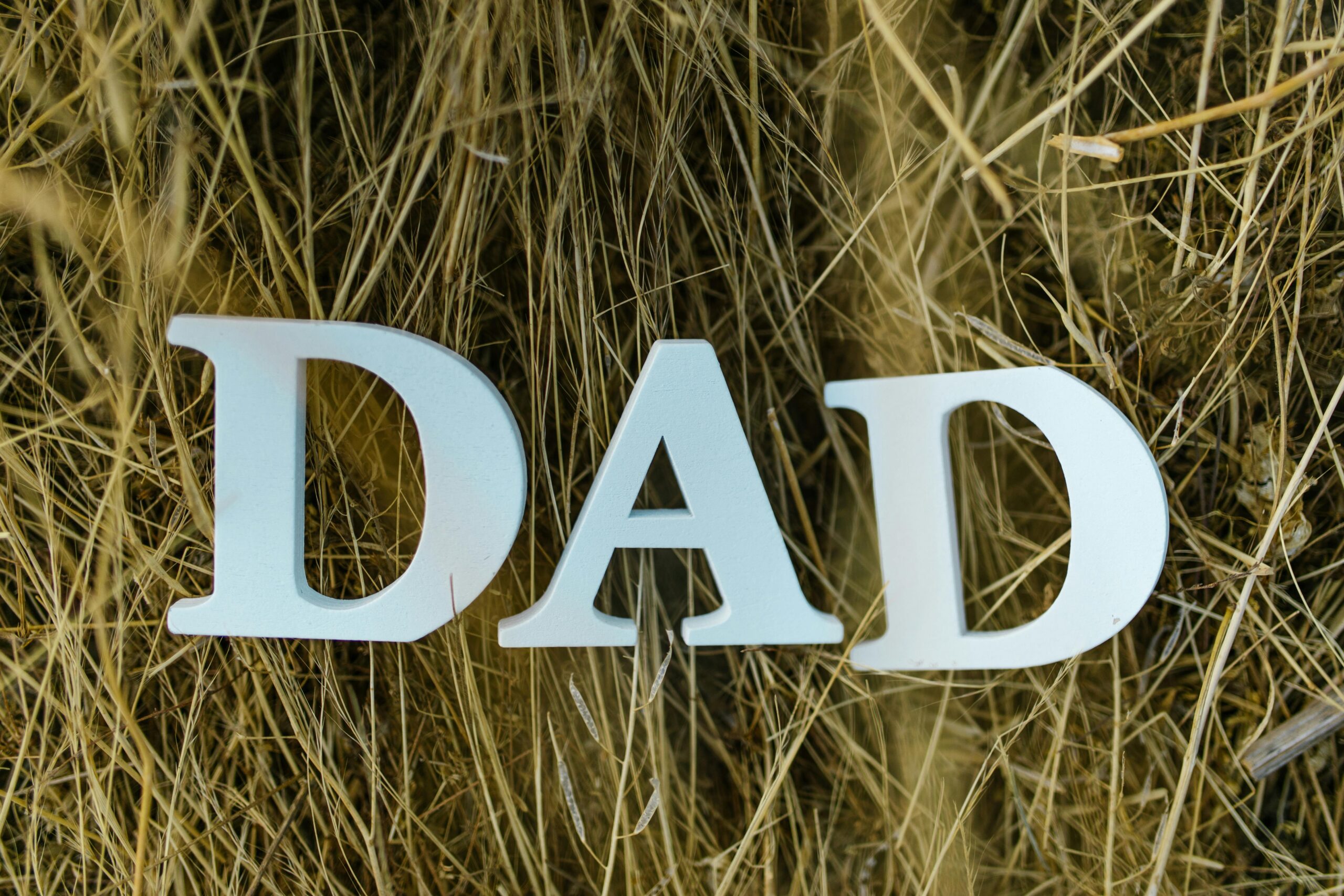 Father's Day DAD sign in the grass.