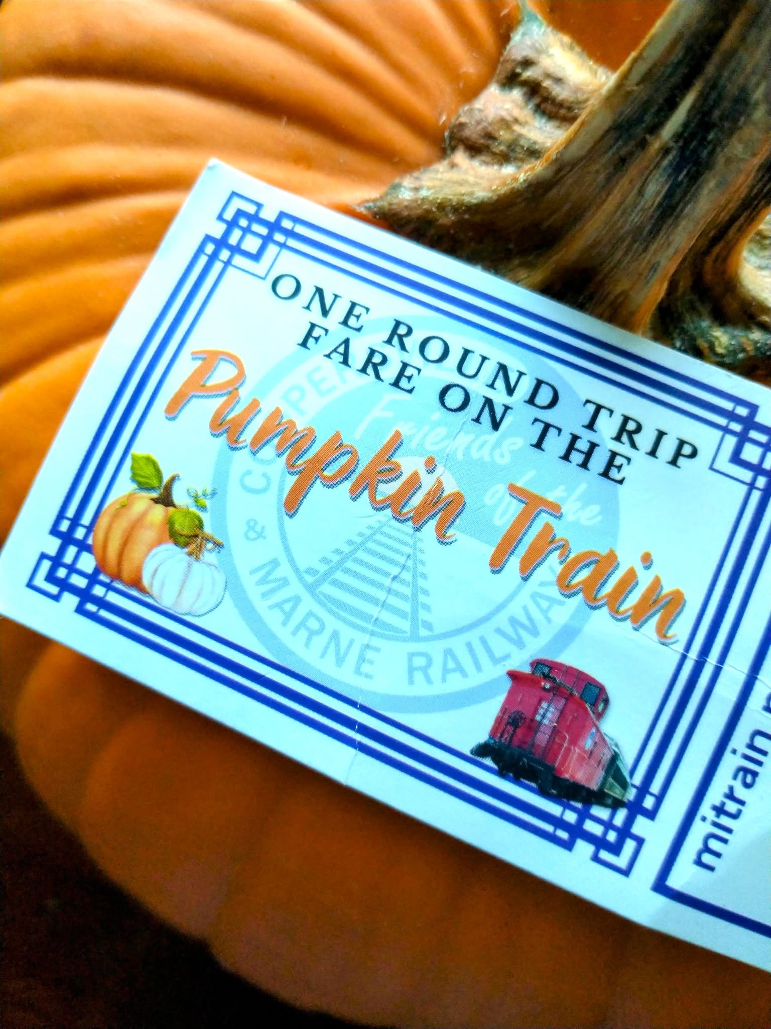 Coopersville and Marne Railway Pumpkin Train ticket resting on a pumpkin