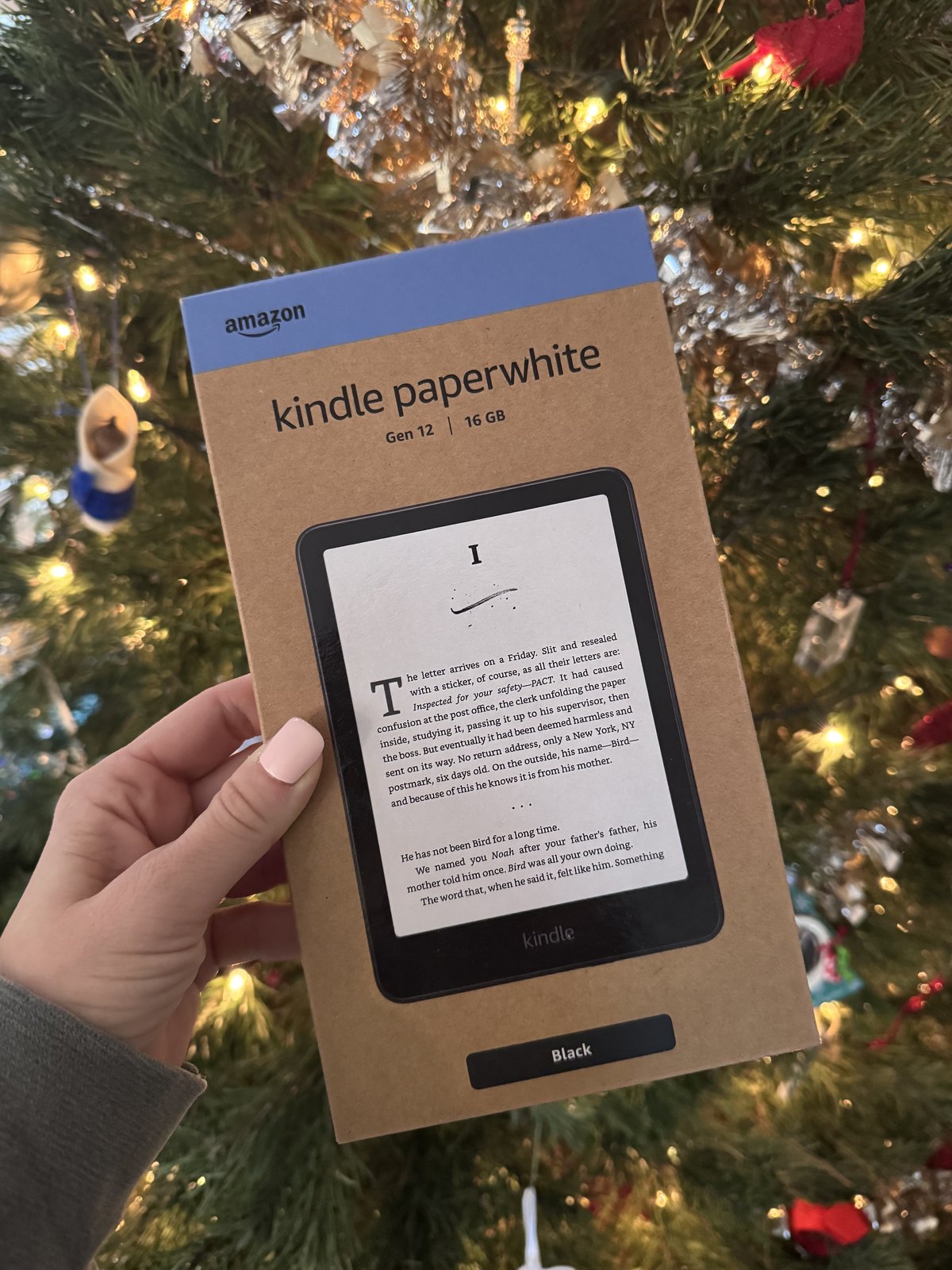 Kindle vs iPad for Reading in 2026 (And Why Both Just Got More Expensive)