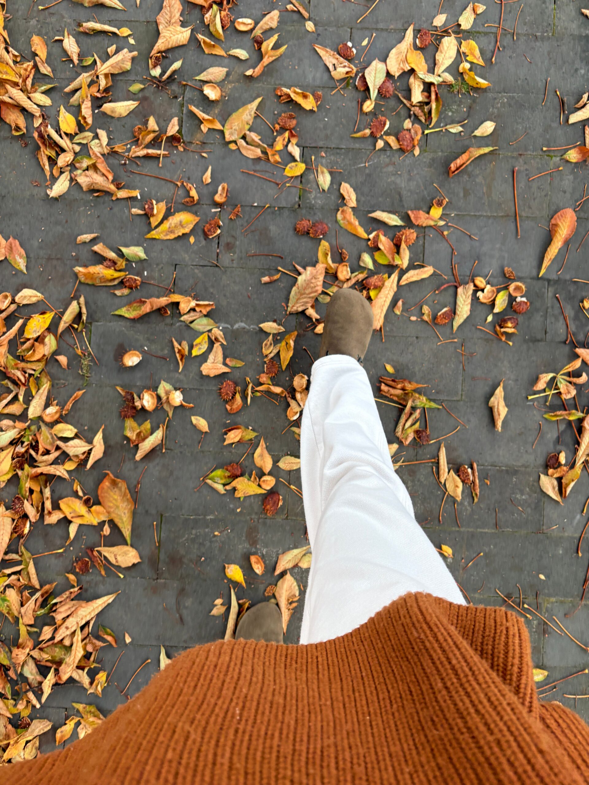 Fall shoe walking through leaves