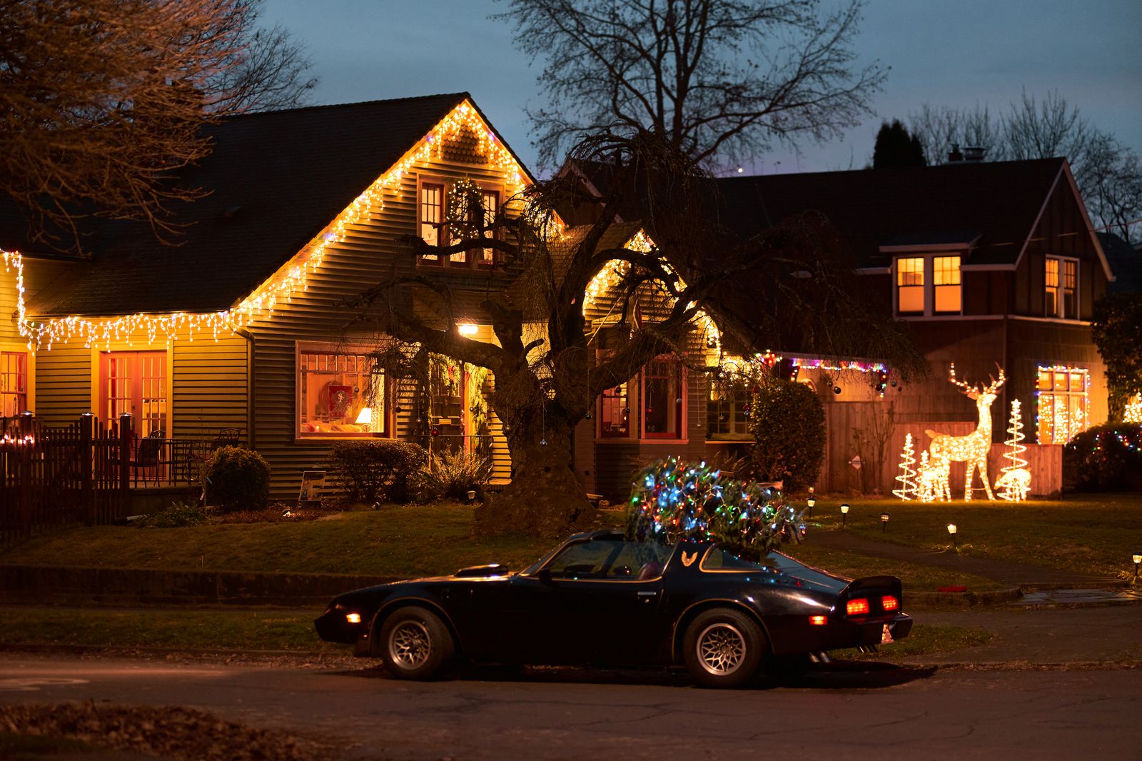 Metro Detroit Christmas Lights: 23 Free House Light Shows Set to Music